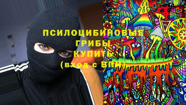 шишки Верхнеуральск